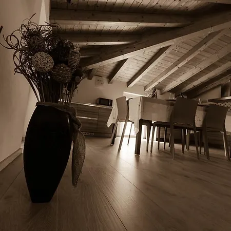 Perla Del 베르카나